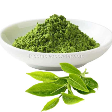 Poudre de thé vert biologique pour le thé en vrac